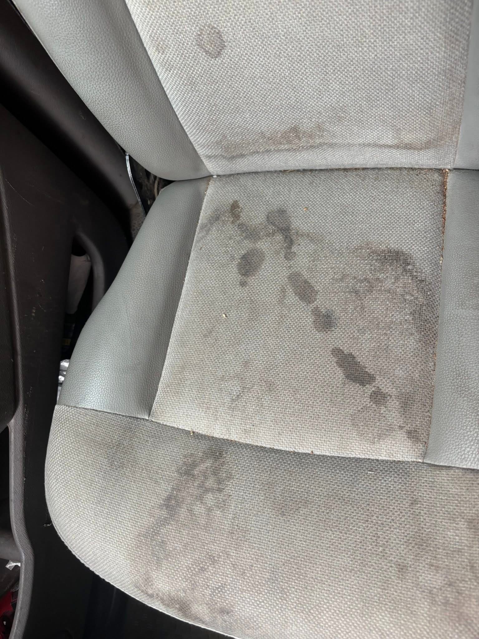 Avant nettoyage extérieur Mons