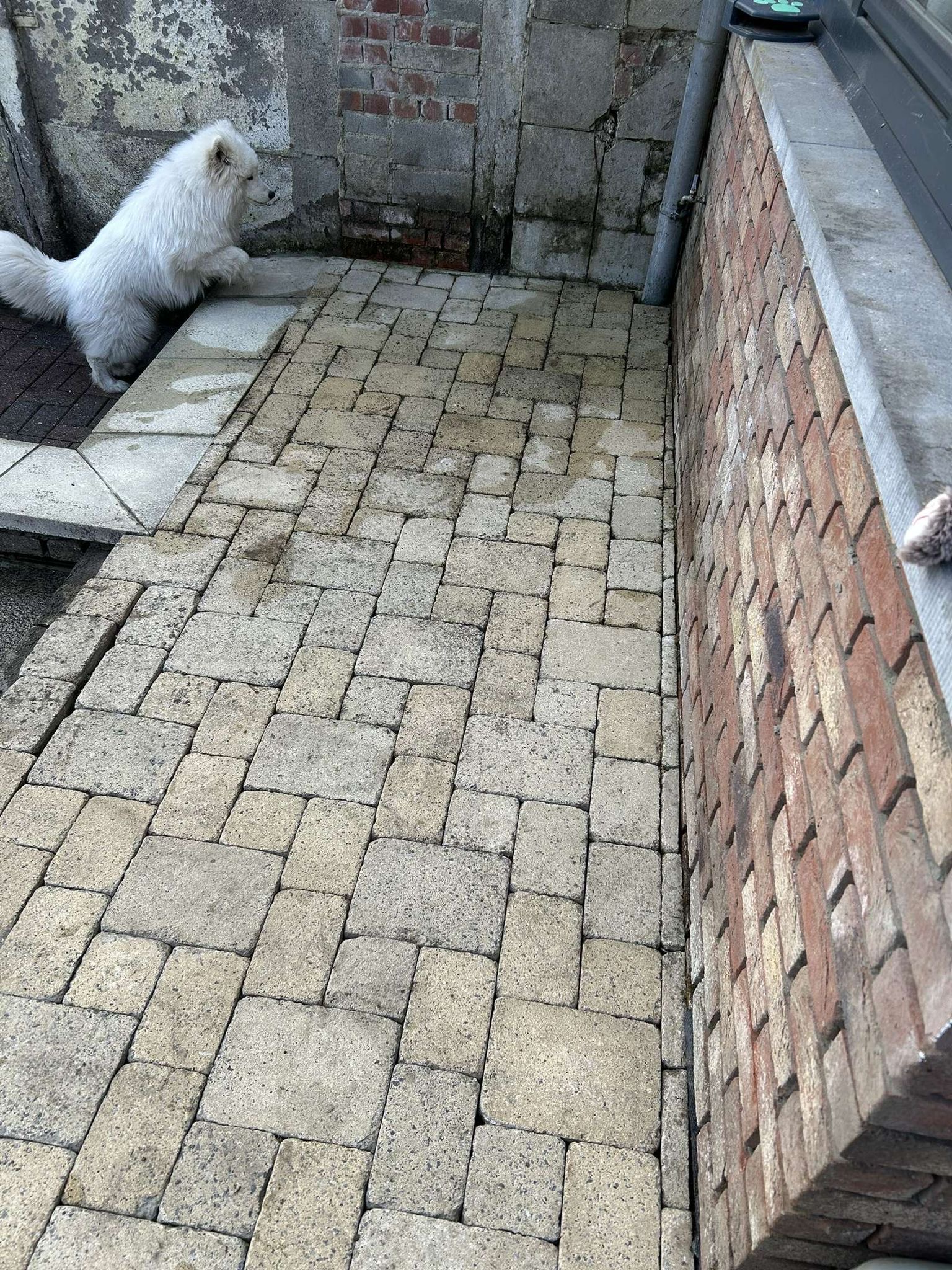 Après nettoyage façade maison Mons